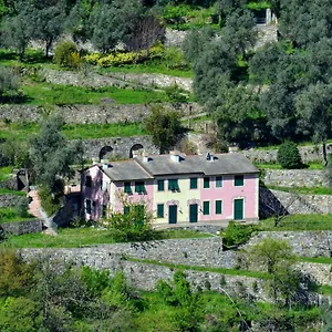  Appartamento Olivari - Apt Il Cedro